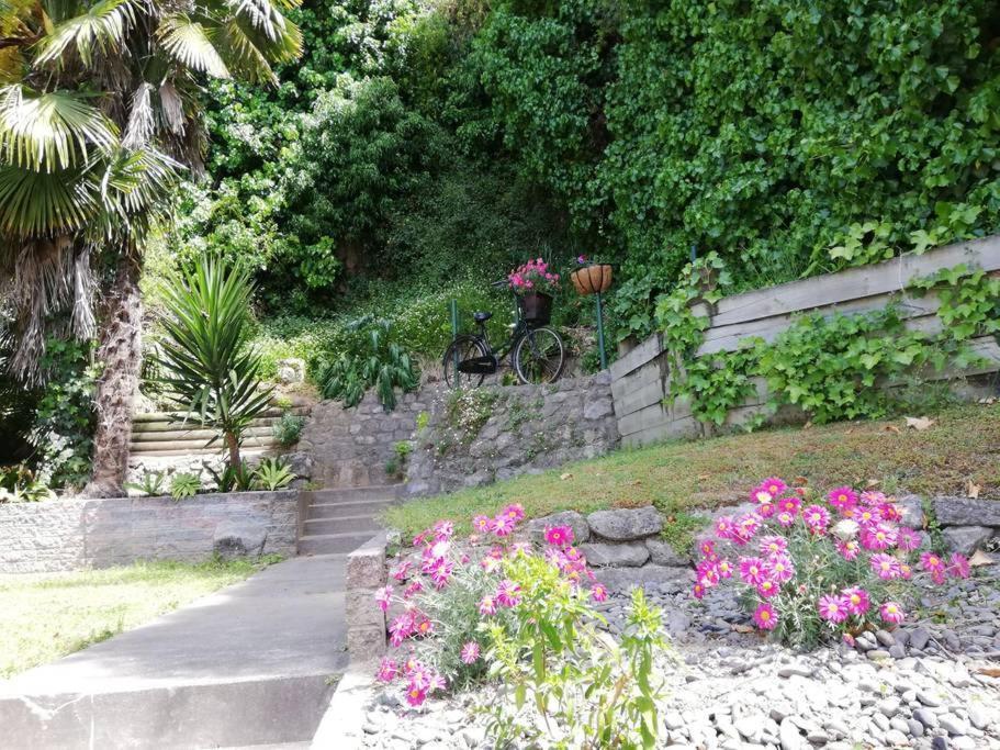 Shakespeare Cottage Napier Bagian luar foto